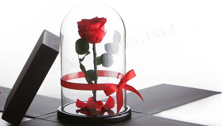 коробка для розы в колбе